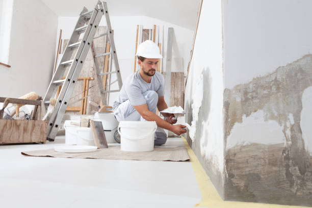 Mold Remediation for Rental Properties in Monon, IN