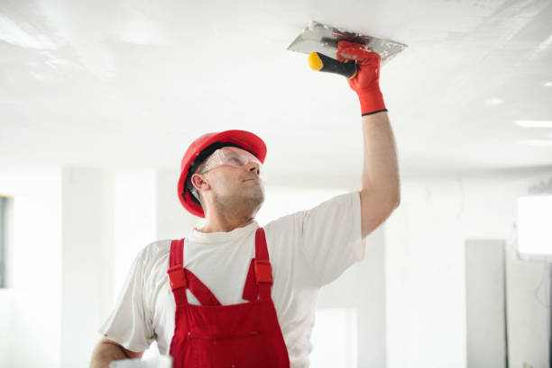 Best Emergency Mold Remediation  in Monon, IN