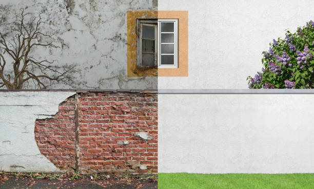 Best Mold Damage Restoration  in Monon, IN